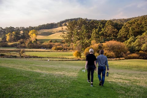 Natural landscape, View (from property/room)