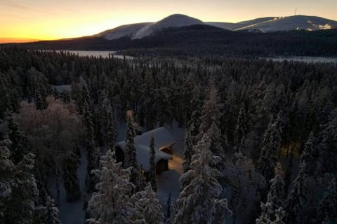 Koto Lodge - Yllästunturi Villa in Lapland