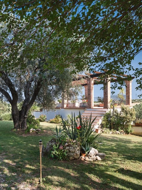 Patio, Natural landscape, Garden, Garden, Balcony/Terrace, Garden view