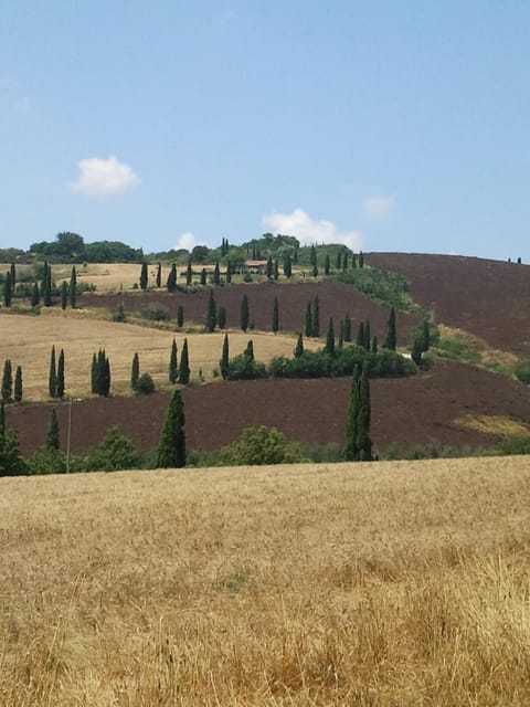Natural landscape