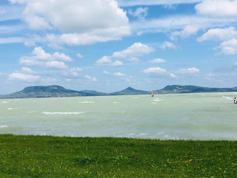 Lake view