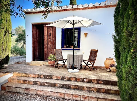 Property building, Patio, Garden view