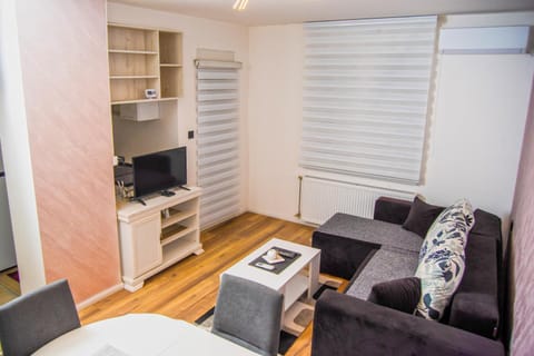 Apartman Tešić Apartment in Serbia