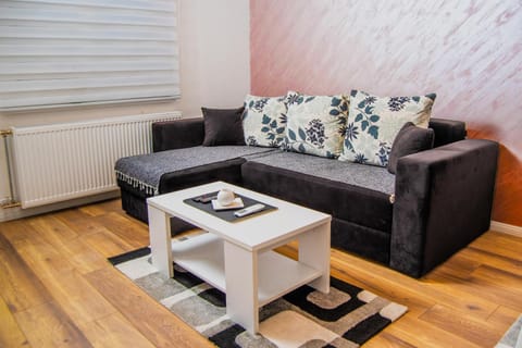 Apartman Tešić Apartment in Serbia