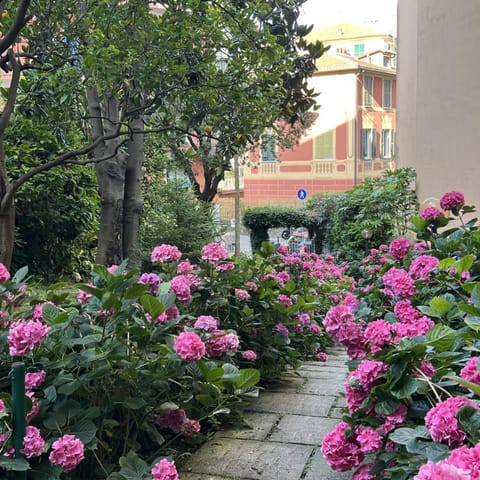 Garden, Garden view