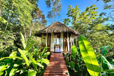Natural landscape, Garden, View (from property/room)
