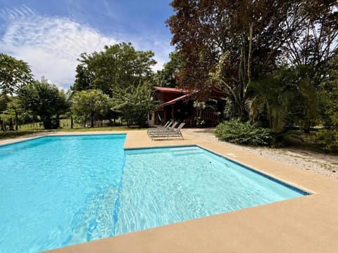 Garden, Pool view, Swimming pool