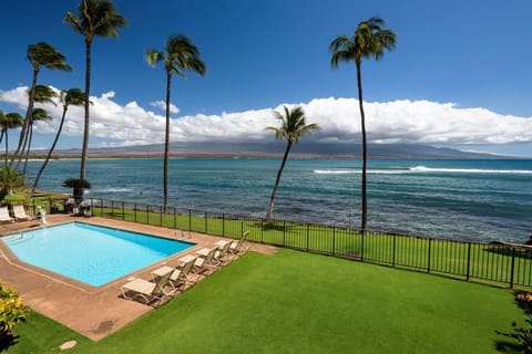 Luxury Remodeled Oceanfront Condo w/ Huge Views House in Maalaea
