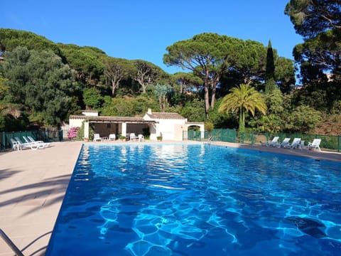 Property building, Living room, Swimming pool
