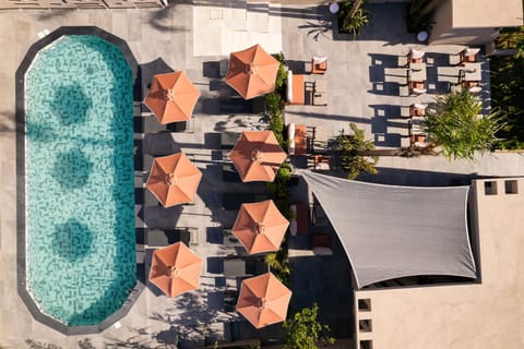 Restaurant/places to eat, Bird's eye view, Swimming pool, sunbed