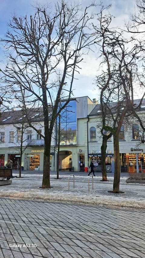 Property building, Day, Neighbourhood, City view, Street view, Location