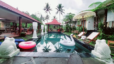 Pool view, Swimming pool