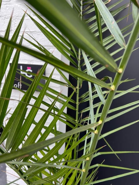 LCforyou Bed and Breakfast in Flanders