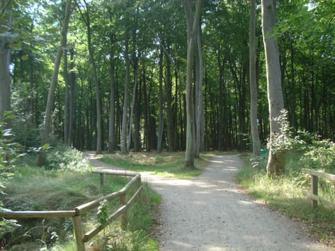Küstenwald - Ferienwohnung Ostseeluft Apartment in Graal-Müritz