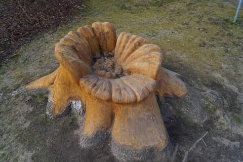 Küstenwald - Ferienwohnung Ostseeluft Apartment in Graal-Müritz