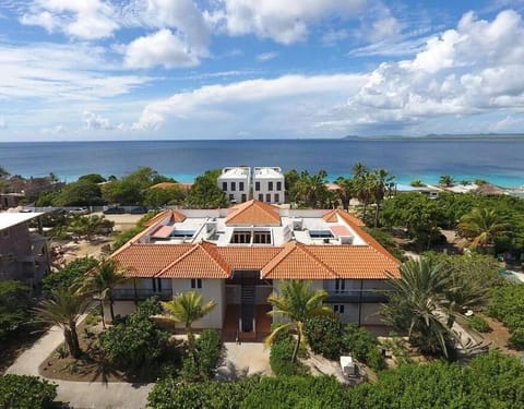 Property building, Bird's eye view