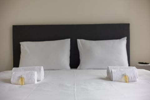 Urban Oasis with Queen Bed and View BE-34 Apartment in Zurich City