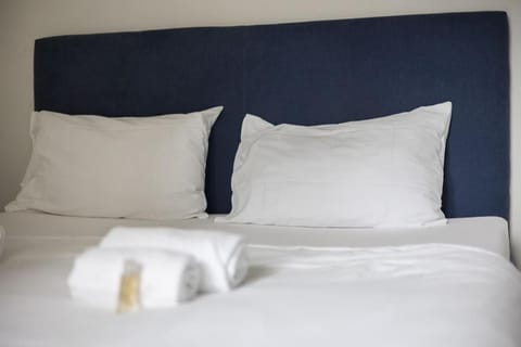 Urban Oasis with Queen Bed and View BE-39 Apartment in Zurich City