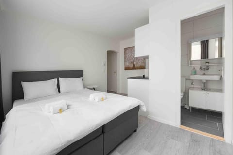 Urban Oasis with Queen Bed and View BE-28 Apartment in Zurich City
