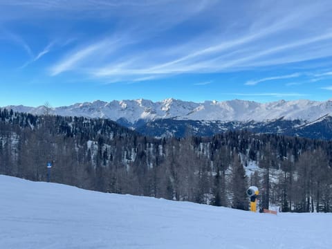 Casa del Roccolo Apartment in Trentino-South Tyrol