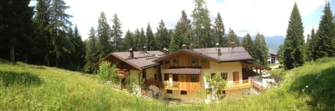 Property building, Garden view