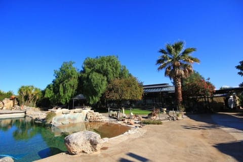 Garden view, Area and facilities, Swimming pool