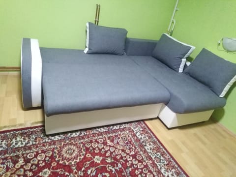 Smestaj Veselka Vacation rental in Novi Sad