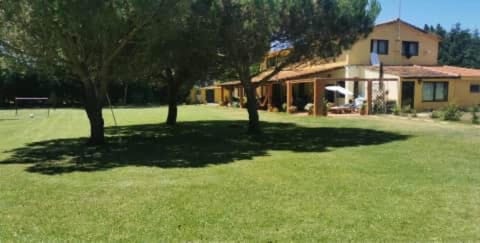 Day, Natural landscape, Garden, Garden view