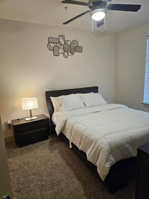 Vizsal Apartment in Houston