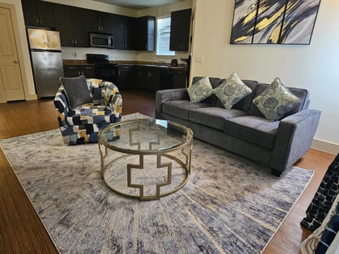 Vizsal Apartment in Houston