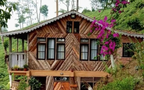 Property building, Day, Garden