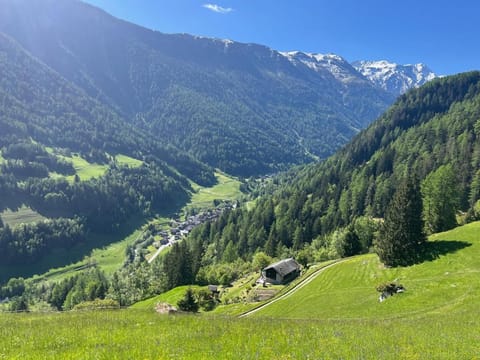 Grand Chalet du Mayen de Planraveire Apartment in Canton of Valais
