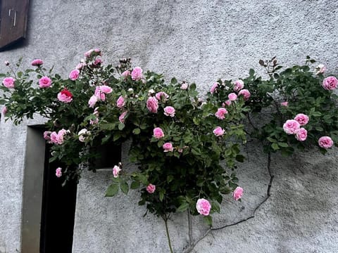 Grand Chalet du Mayen de Planraveire Apartment in Canton of Valais
