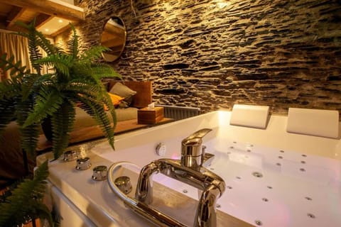 Bed, Hot Tub, Bedroom
