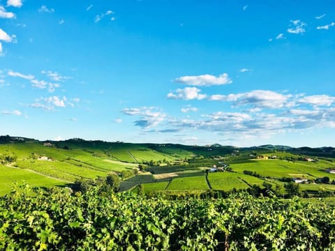 Natural landscape, Mountain view