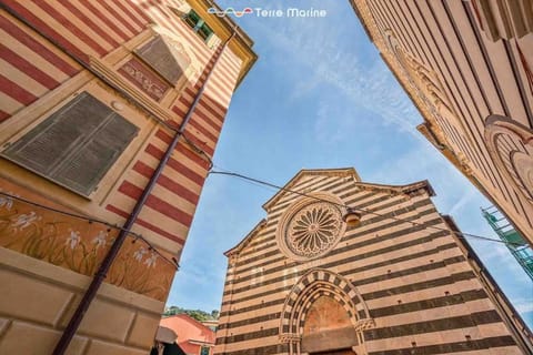 Basilico e Papaja, Terre Marine Apartment in Monterosso al Mare