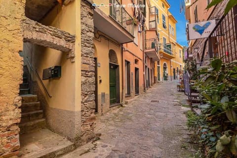 Basilico e Papaja, Terre Marine Apartment in Monterosso al Mare