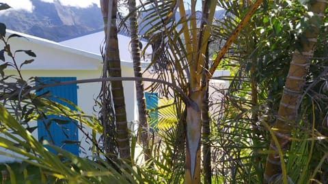 Day, Natural landscape, Garden, Garden view, Mountain view