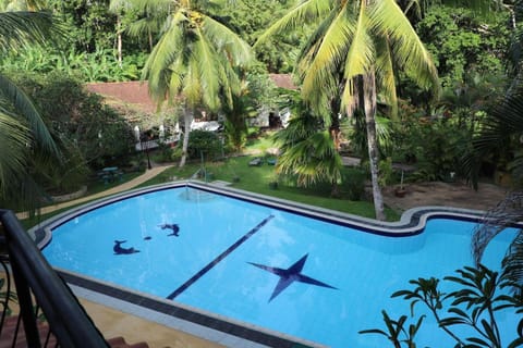 Garden, Pool view, Swimming pool, Swimming pool