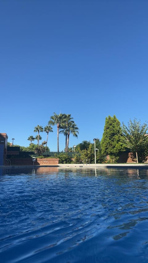 Day, Pool view, Swimming pool