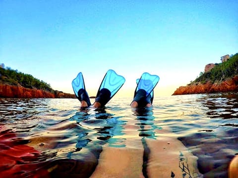 Activities, Snorkeling, Sea view, Sports