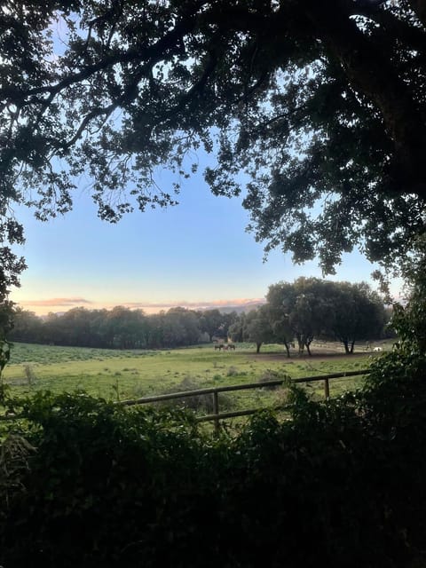Maison de campagne entre Ajaccio et Porticcio House in Corsica