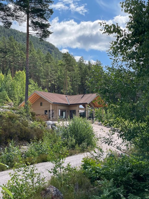 Property building, Day