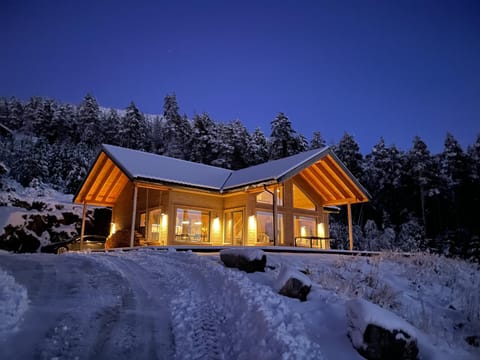 Night, Winter
