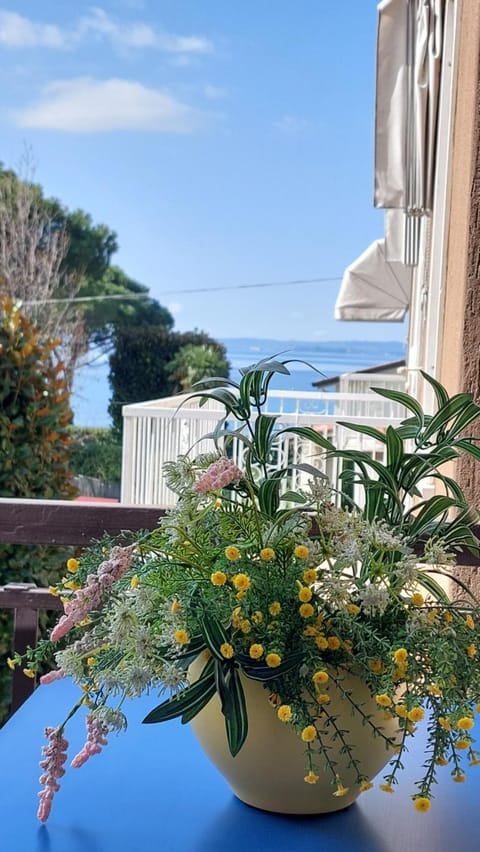 Gardenia Holiday Apartment - a 50 m dal lago Apartment in Lazise