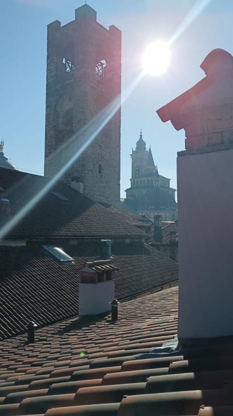 Day, City view, Location