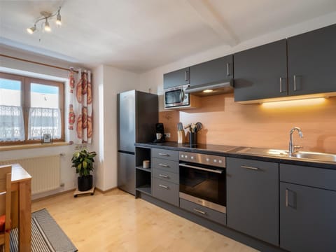 Kitchen or kitchenette, dishwasher, oven, stove