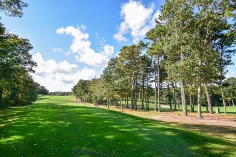 A Contemporary Gem w Cape Character Dog Friendly House in Orleans