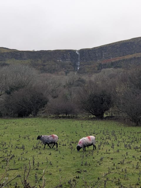 Drummonds House Country House in County Sligo
