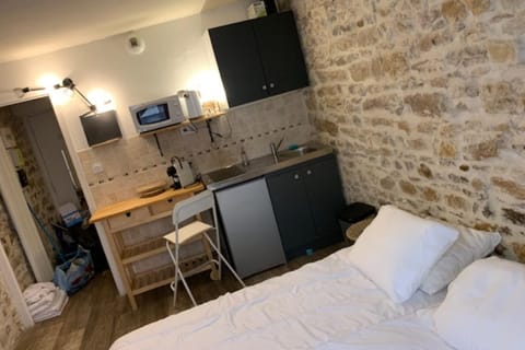 Studio with exposed stone Vieux Lyon Apartment in Lyon